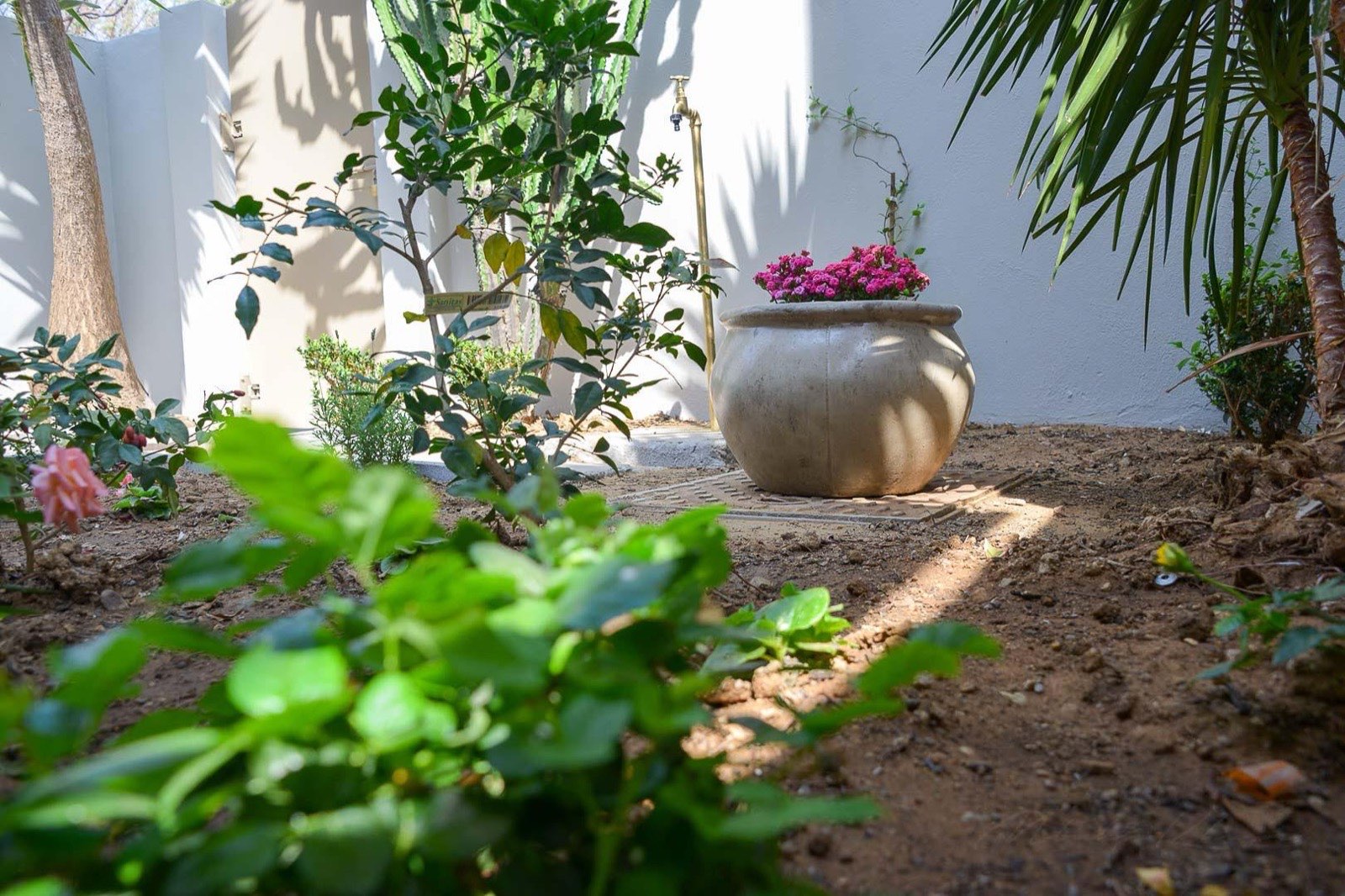 The private garden lounge at The Loft, with cushioned seating under the patio